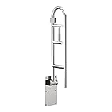 Moen Stainless Safety 30-Inch Flip-Up Bathroom Grab Bar with Integrated Toilet Paper Holder, Wall Mounted Support for Handicapped or Elderly, R8962FD
