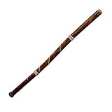 Hand-fired Modern Didgeridoo - Beeswax Mouthpiece - Easy Player! - Key of D - by World Percussion USA
