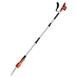 Ukoke Powerful 40V 8-Inch Cordless Pole saw with 2.0Ah Battery and Charger Included - Make Tree Trimming a Breeze!