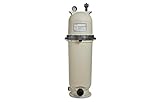 Pentair 160317 Clean and Clear Replacement 150 Square Foot 150 Gallons Per Minute In Ground Swimming Pool Filter Pump Cartridge Assembly