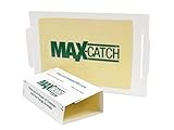 Catchmaster 72MAX Pest Trap, 36Count, White