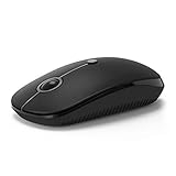 TechGarden Wireless Bluetooth Mouse, Dual Mode (Bluetooth 4.0 + USB) Silent Bluetooth Wireless Mouse with USB Nano Receiver, 3 DPI Levels for Laptop, PC, MacBook, iPad, Tablet - Black
