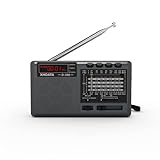 XHDATA D368 Shortwave AM FM 12 Band DSP Stereo Portable Radio MP3 Player Wireless BT Speaker with Rechargeable Battery Multimedia Speaker Support Micro SD Card USB Flash Drives (Black)