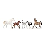 Schleich Horse Club 5-Piece Horse Collector Horse Gift Set for Girls and Boys Ages 5+, Including Pinto Foal, Knabstrupper Foal, Mustang Foal, Arab Mare and Pintabian Mare Toy Horse Figurines