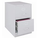 Cooper 25' 2-Drawer Metal Legal Width Vertical File Cabinet in Gray