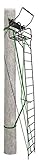 Primal Treestands 22 Foot Mac Daddy Xtra Wide Deluxe Ladderstand with Jaw and Truss System