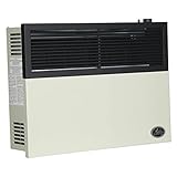 Ashley Hearth Products 17,000 BTU Direct Vent Liquid Propane Wall Mounted Heater with Piezo Lightning, Safety Pilot and Built in Regulator, Cream