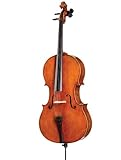 D Z Strad Model 700 handmade 4/4 Cello (Full Size - 4/4)