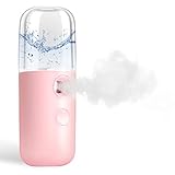 GIVERARE Nano Facial Steamer, Handy Mini Mister, USB Rechargeable Mist Sprayer, 30ml Visual Water Tank Moisturizing&Hydrating for Face, Daily Makeup, Skin Care, Eyelash Extensions-Pink