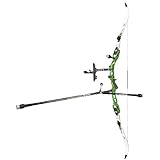 sanlida Archery Miracle X10 Olympic ILF Recurve Bow for Competition Target Shooting Green ILF Riser/Bolt Adjustment System (66'' Bolt System, 30#)