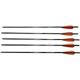 Barnett Outdoors Carbon Crossbow Arrows 5-Pack, Lightweight Hunting Bolts with Half-Moon Nock and Field Points, 20'