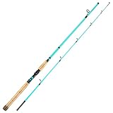 Sougayilang Inshore Saltwater Fishing Rods, Spinning Rods and Casting Rods with AAA Cork Handles,IM7 Toray Carbon Blanks- 7'- Blue- Spinning