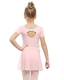 Stelle Ballet Leotards for Girls Toddler Dance Dress Outfit Combo with Dance Skirt and Tights (Toddler/Little Kid/Big Kid) (Ballet Pink (Bow Back), 100)