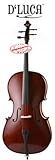 D'Luca Meister Handmade Ebony Fitted Cello 4/4