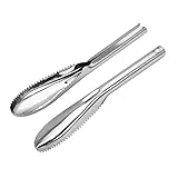2 Pieces Fish Scaler Stainless Steel Fish Scaler Remover, Easily Remove Fish Scales Cleaning BrushTool Fish Scraper for Kitchen Fish Cleaning Tools