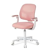DIOSHOME Kids Desk Chair, Height Adjustable Chair, Ergonomic Chair, Kids Office Chair, Kids Computer Chair.Breathable mesh and high Rebound Sponge Material.Suitable for Families and Offices.
