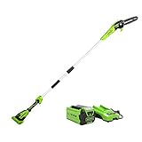 Greenworks 40V 8' Cordless Polesaw (Great For Pruning and Trimming Branches / 11 FT Reach / 60+ Compatible Tools), 2.0Ah Battery and Charger Included