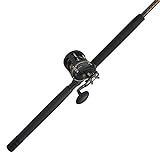 PENN 6'6' Squall II Level Wind Saltwater Rod and Reel Fishing Combo, 1-Piece Fishing Rod, Black/Gold