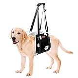 LOOBANI Dog Lift Harness for Back Legs, Portable Dog Sling for Large Dogs Hind Leg Support, Comfortable Leg Support Assistance for Elderly Dogs with Hip, ACL Brace, Senior, Injured (Large) Black