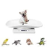 YTDTKJ Digital Pet Scale,Small Animal Scale with LCD Display,Multifunction Kitchen Food Scale,Grams Weight Max 22 lbs for Hamster Tortoise Lizard Little Bird, White, (B434F704M1466JLEETB)