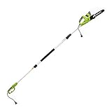 Greenworks 7 Amp (2-In-1) 10-inch Corded Electric Polesaw, PSCS06B01