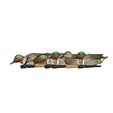 Avian-X Topflight Green-Winged Teal Durable Ultra Realistic Floating Hunting Duck Decoys, Pack of 6, AVX8081