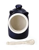 RSVP International Stoneware Salt Pig and Spoon Set, Wide Mouth, Dishwasher Safe, 3x3.25x5', Blue