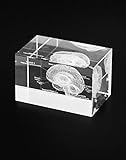 QWORK 3D Human Brain Anatomical Model, Laser Etching Crystal Glass Cube Science Gift Paperweight (LED Base not Included), 3.1(L) x2(W) x2(H) inches