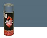 Stove Bright High Temp Spray Paint, Metallic, Up To 1200 Degrees, 12 Ounce (Pack of 1), 6194 - New Sky Blue