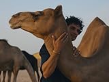 Abu Dhabi: The Charm of Tradition