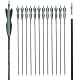 LWANO 30Inch Carbon Arrow Archery Hunting/Targeting Practice Arrows with 5' Turkey Feathers for Compound Recurve Longbow 12Pack