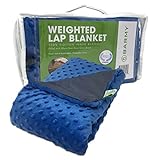 BARMY Weighted Lap Pad for Kids (24”x24”, 5lbs, 8 Colors) Weighted Lap Blanket with Removable, Washable Cover, Sensory Lap Pad for Child, Toddler, Dogs, 100% Cotton Inner Weighted Blanket, Blue