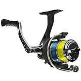 Lew's Crappie Thunder Spinning Fishing Reel, 2 Bearing System, Size 50 Reel, 5.0:1 Gear Ratio, Right or Left-Hand Retrieve, Crappie Thunder Green