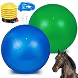 2 Pcs 40 Inch Horse Ball for Play Large Horse Ball Big Herding Ball for Horse Anti Burst Horse Soccer Ball Giant Horse Play Ball Toys for Horses to Play with, Pump Included (Green, Blue, 40 Inch)