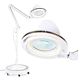 Brightech LightView Pro Magnifying Glass with Light and Stand, Magnifying Floor Lamp with a 6-Wheel Rolling Base for Facials, Lash Estheticians, Dimmable LED Work Light for Sewing, Crafts