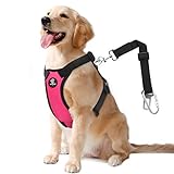 VavoPaw Dog Vehicle Safety Vest Harness, Adjustable Soft Padded Mesh Car Seat Belt Leash Harness with Travel Strap and Carabiner for Most Cars, Large Size, Magenta
