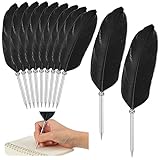 Chinco 12 Pcs Feather Ballpoint Pen Ink Quill Ballpoint Pen Vintage Feather Pen Soft Fluffy Pen Wedding Signing Pen for School Office Wedding Bridal Party Supplies, 10.6 Inches in Length (Black)