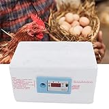 Automatic Temperature Control Incubator, Egg Incubator Liquid Digital Display Incubator for Chicken Quail Experiment with 20 Sheets Humidity Maintenance Home Use for Children Education