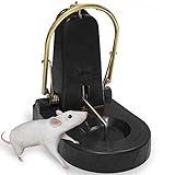 Kat Sense XXL Large Rat Traps, Not All Rodent Traps are Created Equal & This Heavy-Duty Spring Trap Will Prove It - Reusable Pest Control Trap for Rats, Squirrels, and Chipmunks 2 Pack
