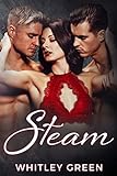 Steam (The Sizzle TV Series Book 4)