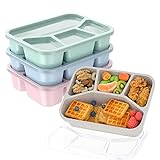 Bento Lunch Box for Kids (4 Pack), 4-Compartment Meal Prep Container with Transparent Cover, Freezer and Dishwasher Safe Food Storage Containers, Reusable For Work, School, Travel, Adult