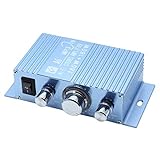AUTUT Dual Channel Mini Amplifier, Hi-Fi Stereo Reciever for Cars Motorcycles Computer Speakers, DC 12V-15V 40W