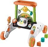 Fisher-Price Baby & Toddler Toy 2-Sided Steady Speed Panda Walker with Smart Stages Learning & Blocks for Ages 6+ months