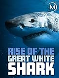 Rise of the Great White Shark