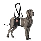 S-ETOVUS Dog Sling for Back Legs, Dog Lift Harness, Velcro Dog Sling for Large Dogs Hind Leg Support, Elderly Dog Lifter, Help Canie Hip Arthritis K9 Cruciate Ligament Rehabilitation (Large) Black