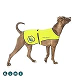 Pet & Protect Premium Dog Reflective Vest (Neon) High-Visibility Safety | Walking, Jogging, Training | Sizes to fit Small, Medium, Large, Extra-Large Breeds 16-130 lbs. (Large)