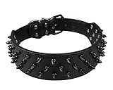 Dogs Kingdom Leather Black Spiked Studded Dog Collar 2' Wide, 31 Spikes 52 Studdeds Pit Bull, Boxer Collar