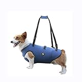 Coodeo Dog Lift Harness, Pet Support & Rehabilitation Sling Lift Adjustable Padded Breathable Straps for Old, Disabled, Joint Injuries, Arthritis, Loss of Stability Dogs Walk (Blue, XS)