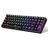 Redragon Wireless Mechanical Gaming Keyboard 60% Compact 70 Key Tenkeyless RGB Backlit Computer Keyboard with Red Switches for Windows PC Gamers