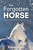 The Forgotten Horse - Book 1 in the Connemara Horse Adventure Series for Kids. The perfect gift for children age 8-12. (Connemara Adventures)